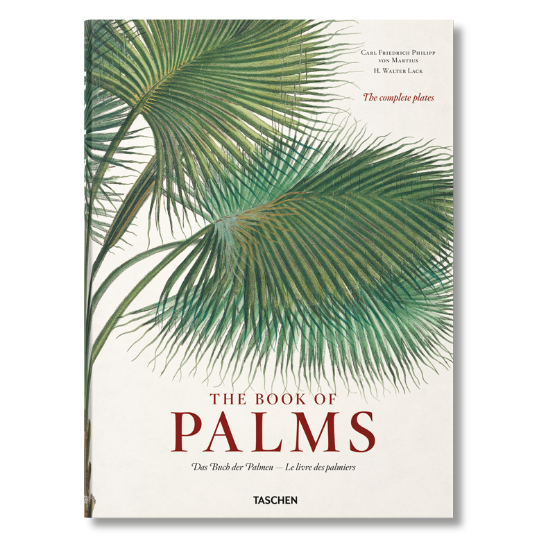 Книга The Book of Palms  в Самаре | Loft Concept 