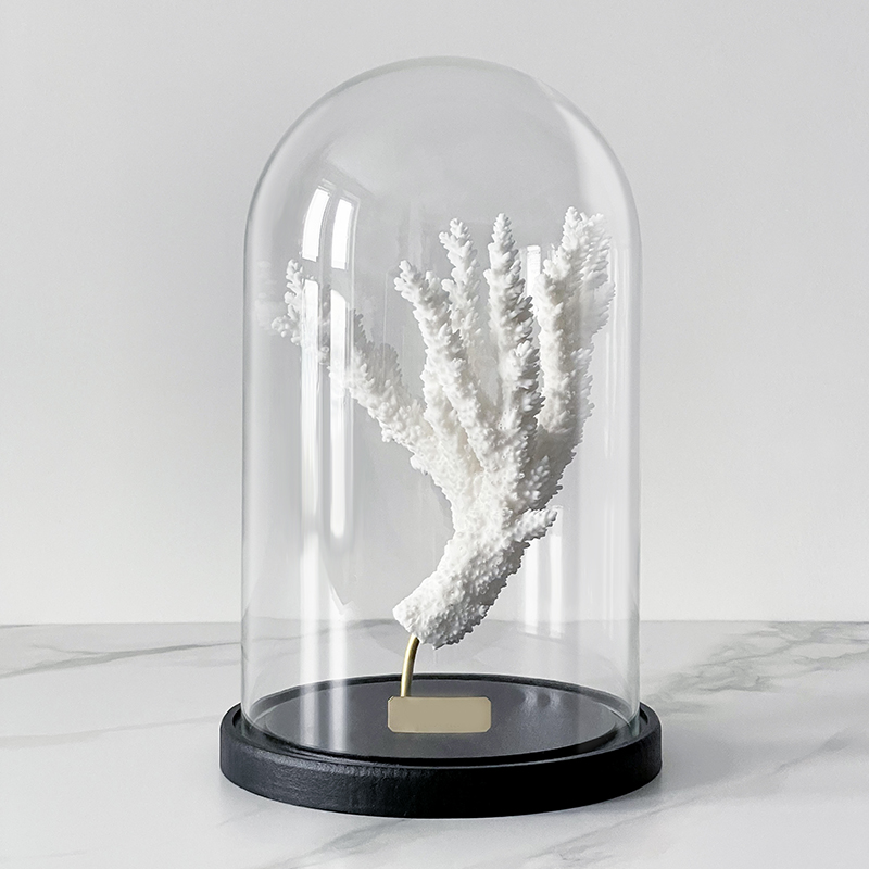 Статуэтка Natural Coral Branch Glass Cloche  в Самаре | Loft Concept 