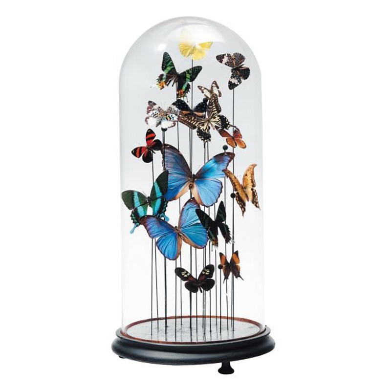 Статуэтка 15 Butterflies Glass Cloche  в Самаре | Loft Concept 