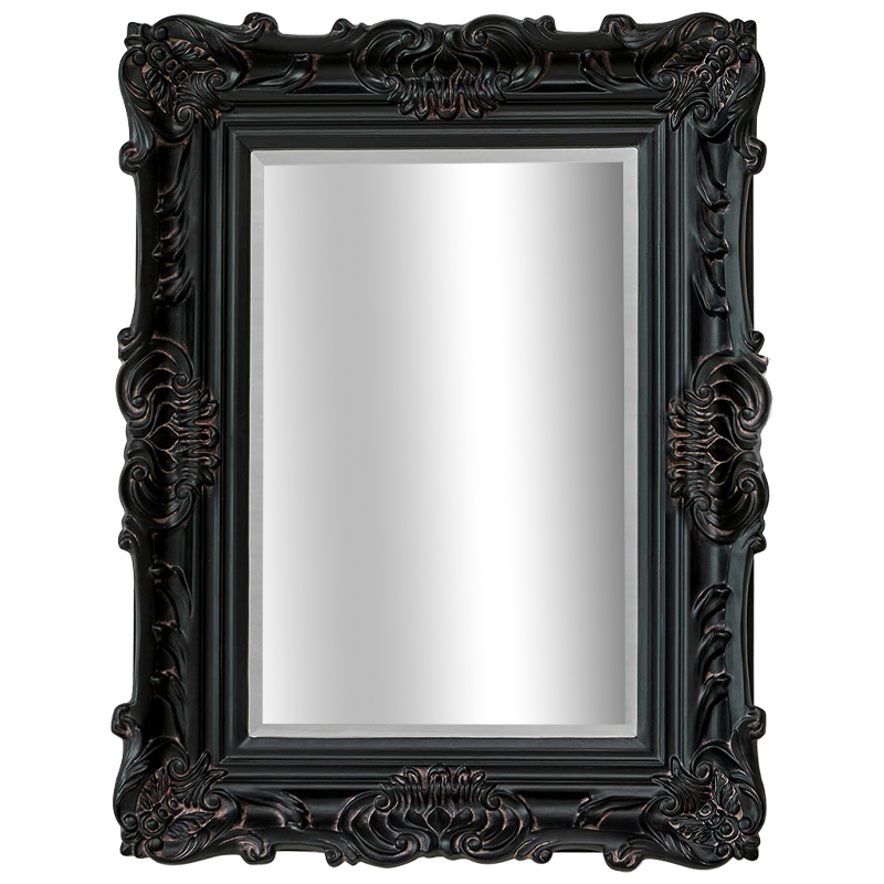 Зеркало Aryan Provence Mirror Black Черный Коричневый в Самаре | Loft Concept 