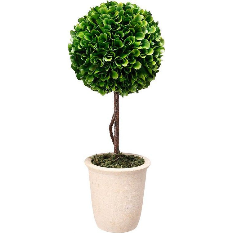 Декоративный искусственное растение Single boxwood Зеленый Бежевый Коричневый в Самаре | Loft Concept 