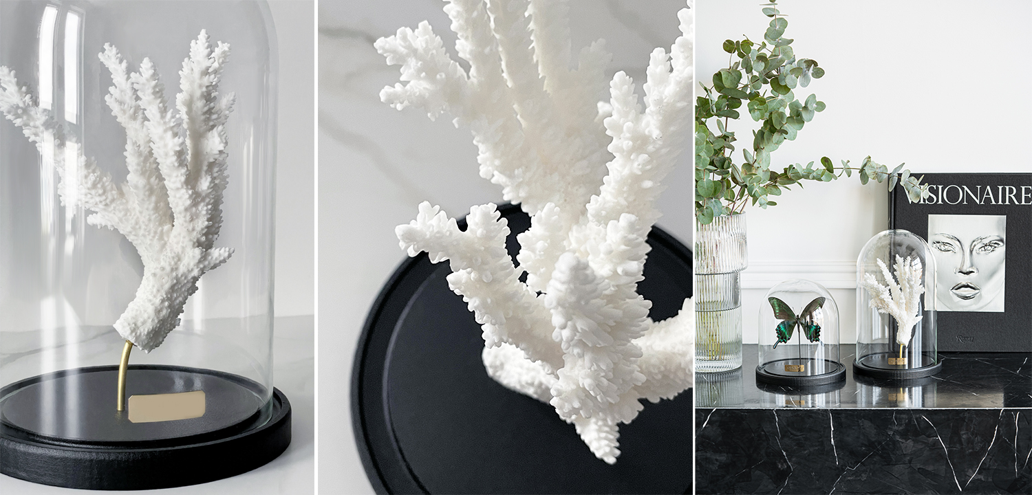 Статуэтка Natural Coral Branch Glass Cloche - фото