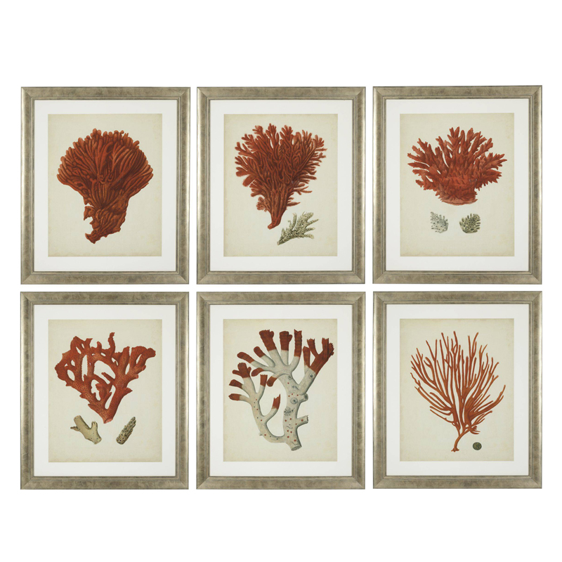 Комплект постеров Eichholtz Prints Antique Red Corals set of 6 Сатиновое Серебро Коралловый Бежевый Комплект постеров Eichholtz Prints Antique Red Corals set of 6 Сатиновое Серебро Коралловый Бежевый в Самаре | Loft Concept