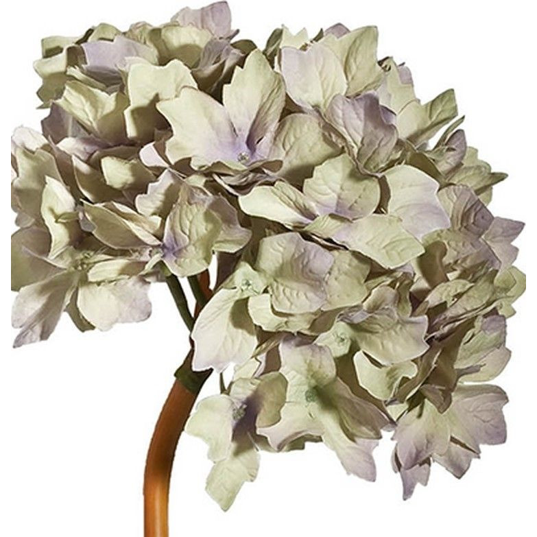 Декоративный искусственное растение Beige hydrangea Черный Бежевый Коричневый в Самаре | Loft Concept 