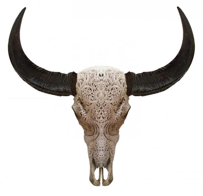 Череп буйвола с резьбой Buffalo Skull Tribal Carving Белый в Самаре | Loft Concept 