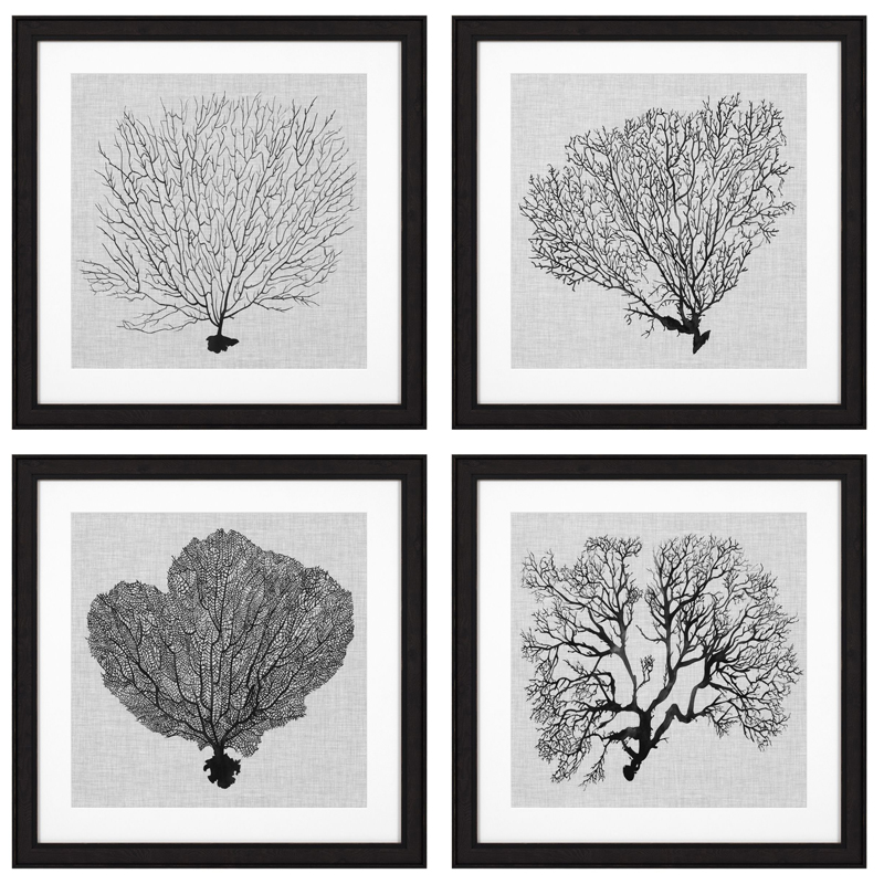 Комплект постеров Eichholtz Prints Shadow Sea Fans set of 4 Черный Черно-белый в Самаре | Loft Concept 