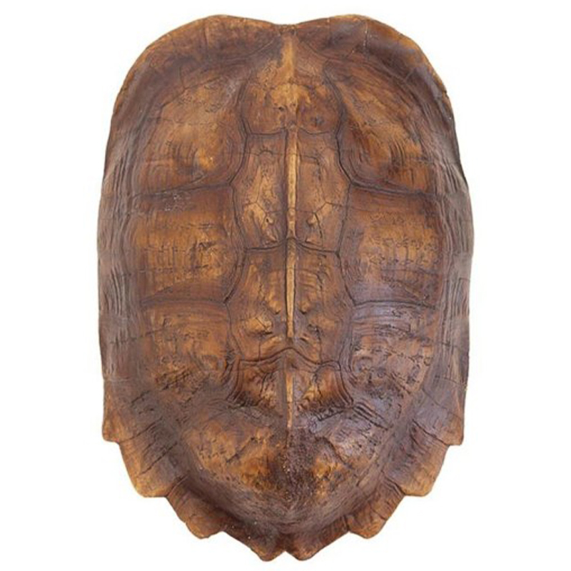 Аксессуар Turtle Shell Natural Light Brown Коричневый в Самаре | Loft Concept 