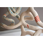 Скульптура «Papañca» варинант исполнения - 3 | Loft Concept в Самаре