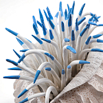 Статуэтка тропический фрукт Tropical Fruit White Blue варинант исполнения - 1 | Loft Concept в Самаре