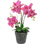 Декоративный искусственное растение Pink orchid варинант исполнения - 1 | Loft Concept в Самаре