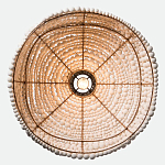 Подвесной светильник в виде купола декорированный белыми деревянными бусинами White Wooden Beads Hanging Lamp варинант исполнения - 4 | Loft Concept в Самаре