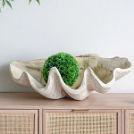 Блюдо декоративное в виде ракушки Seashell варинант исполнения - 3 | Loft Concept в Самаре