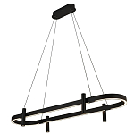 Люстра подвесная овальная черная  Black Light Fixtures варинант исполнения - 1 | Loft Concept в Самаре