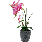 Декоративный искусственное растение Pink orchid варинант исполнения - 4 | Loft Concept в Самаре