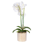 Декоративный искусственное растение Lush Orchid варинант исполнения - 1 | Loft Concept в Самаре
