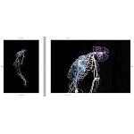 Монография художника Tavares Strachan - There is Light Somewhere варинант исполнения - 6 | Loft Concept в Самаре