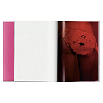 Книга Gisele Bundchen варинант исполнения - 7 | Loft Concept в Самаре