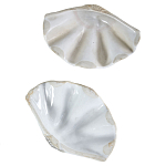 Фигурка из фарфора в виде одной створки ракушки Marine Tridacna варинант исполнения - 3 | Loft Concept в Самаре