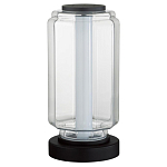 Настольная лампа с прозрачным плафоном Jarrty варинант исполнения - 1 | Loft Concept в Самаре