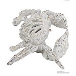 Статуэтка краб с детализированной текстурой в белом цвете Marine Accessories варинант исполнения - 4 | Loft Concept в Самаре