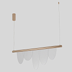 Люстра подвесная с пятью прозрачными элементами в форме лепестков и золотистым металлическим основанием DALI Tonin Casa варинант исполнения - 2 | Loft Concept в Самаре