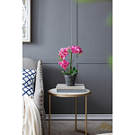 Декоративный искусственное растение Pink orchid варинант исполнения - 8 | Loft Concept в Самаре