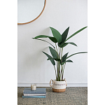 Декоративный искусственное растение Decor Stile  варинант исполнения - 7 | Loft Concept в Самаре