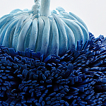 Статуэтка Синий тропический фрукт Tropical Fruit Pandora 1 варинант исполнения - 4 | Loft Concept в Самаре