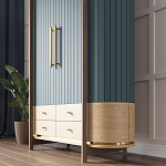 Шкаф «Гавайи» варинант исполнения - 2 | Loft Concept в Самаре