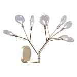 Бра в виде ветвей с прозрачными круглыми плафонами Moooi варинант исполнения - 1 | Loft Concept в Самаре