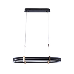 Люстра светодиодная в форме овала из акрила и алюминия с пультом для регулировки света Ring Horizontal Anthracite варинант исполнения - 1 | Loft Concept в Самаре