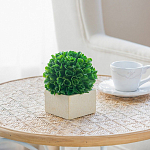 Декоративный искусственное растение Square boxwood варинант исполнения - 6 | Loft Concept в Самаре
