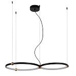 Люстра подвесная светодиодная черный металл Ring Horizontal варинант исполнения - 9 | Loft Concept в Самаре