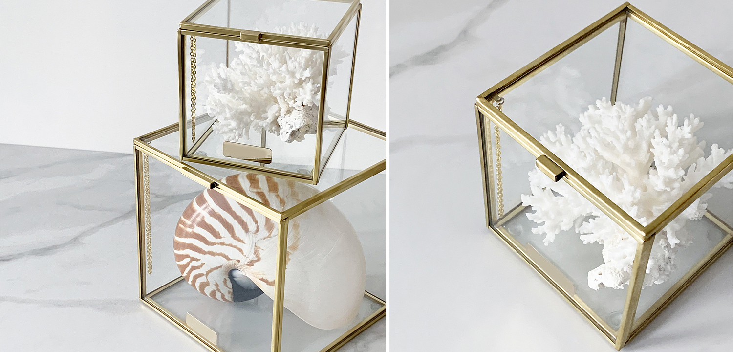 Статуэтка Natural Coral Glass Box S Статуэтка Natural Coral Glass Box S - Loft-Concept в Самаре