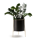 Кашпо из металла и латуни Elegance Elevated Planters черное варинант исполнения - 3 | Loft Concept в Самаре