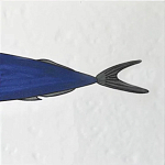 Плитка с узором Рыба пловчиха варинант исполнения - 6 | Loft Concept в Самаре