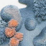 Тканый вручную Большой абстрактный гобелен Frost Forest варинант исполнения - 1 | Loft Concept в Самаре