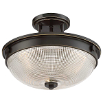 Потолочный светильник со стеклянным плафоном в виде купола Quoizel варинант исполнения - 8 | Loft Concept в Самаре