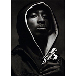 Подарочная книга величайший фотограф Альберт Уотсон The Vienna album Albert Watson варинант исполнения - 2 | Loft Concept в Самаре