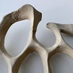 Блюдо «Бежевый коралл» варинант исполнения - 3 | Loft Concept в Самаре