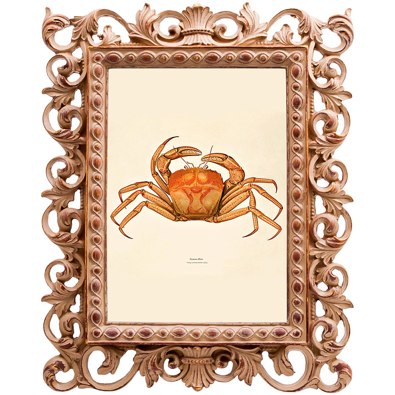 Постер Ocher Crab Poster Бежевый Оранжевый в Самаре | Loft Concept 