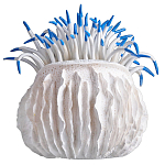 Статуэтка тропический фрукт Tropical Fruit White Blue варинант исполнения - 3 | Loft Concept в Самаре