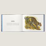 Лимитированная подарочная книга HERMES Fierce and Fragile book, English version варинант исполнения - 3 | Loft Concept в Самаре