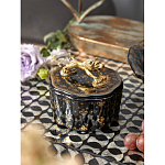 Шкатулка черного цвета с крышкой с фигуркой льва Eden Garden варинант исполнения - 6 | Loft Concept в Самаре