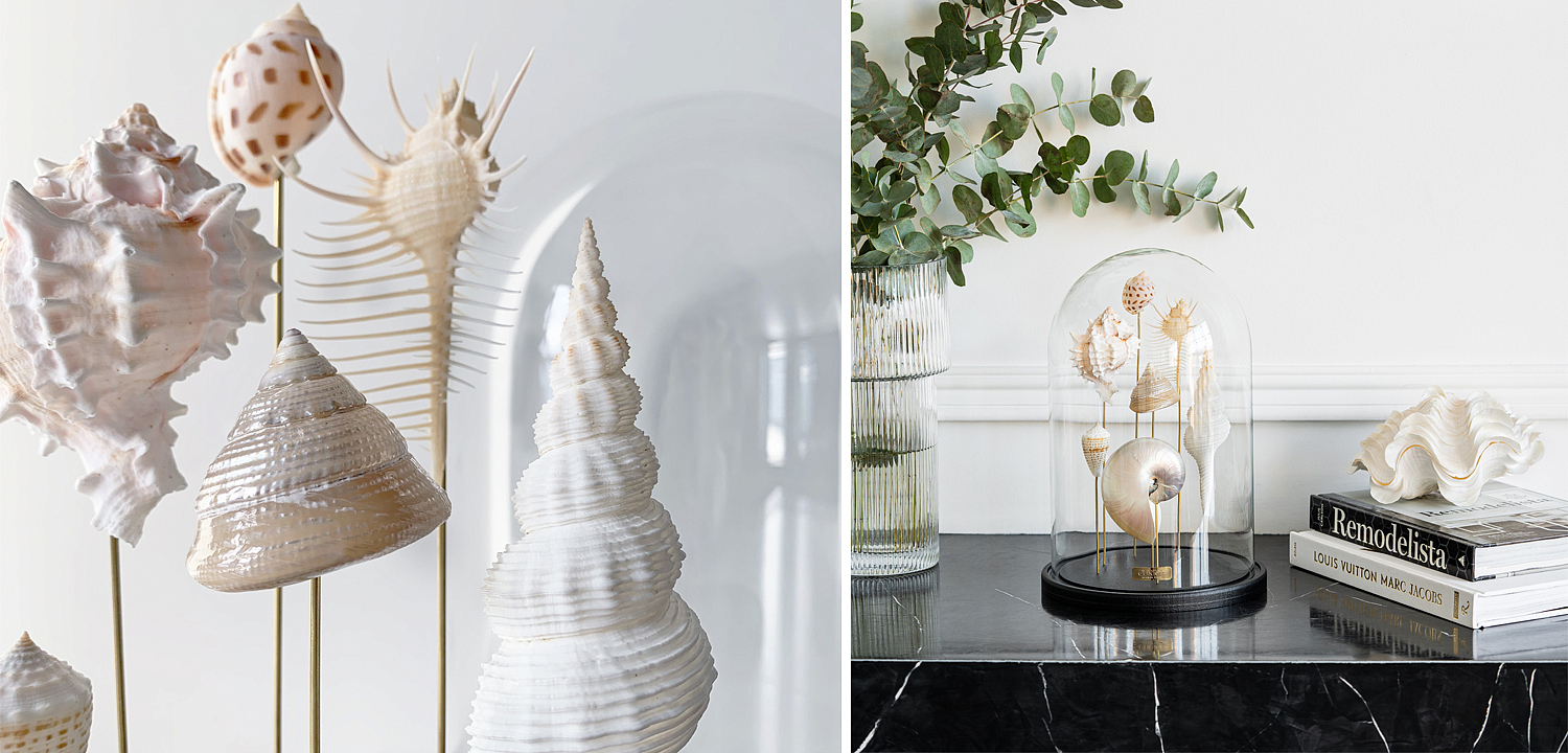 Статуэтка Shell Collection Glass Cloche 1 Статуэтка Shell Collection Glass Cloche 1 - Loft-Concept в Самаре