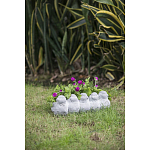 Кашпо Canaries варинант исполнения - 6 | Loft Concept в Самаре