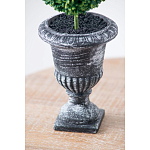 Декоративный искусственное растение Double boxwood варинант исполнения - 7 | Loft Concept в Самаре