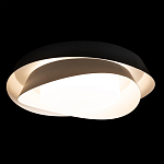 Потолочный светильник круглый черного цвета из металла Vita Cuna варинант исполнения - 1 | Loft Concept в Самаре