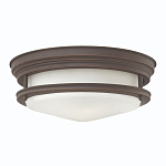 Потолочный светильник для ванных комнат со стеклянным плафоном в форме перевернутого конуса Hinkley варинант исполнения - 21 | Loft Concept в Самаре