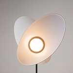 Напольный светильник Evolution 3000К 12Вт варинант исполнения - 5 | Loft Concept в Самаре